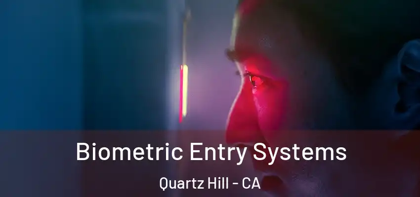  Biometric Entry Systems Quartz Hill - CA