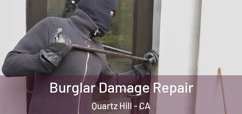  Burglar Damage Repair Quartz Hill - CA