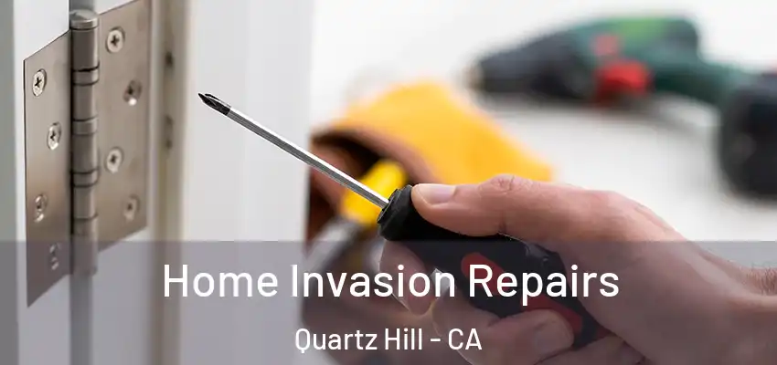 Home Invasion Repairs Quartz Hill - CA