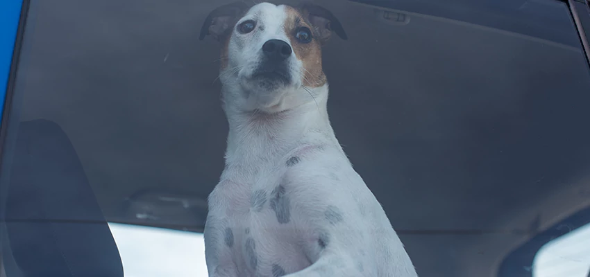 Car Lockout Solutions in Quartz Hill, California