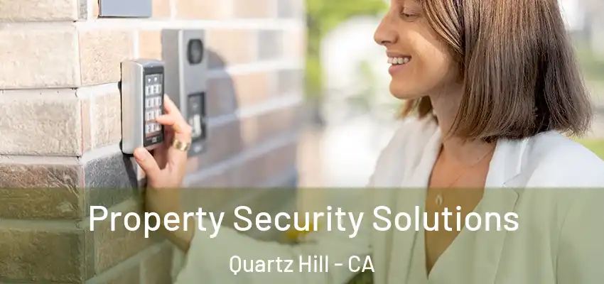  Property Security Solutions Quartz Hill - CA